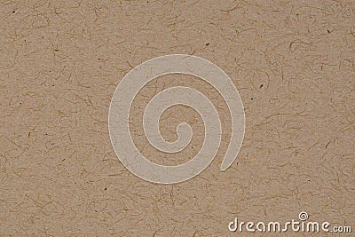 Recycled beige cardboard close up texture Stock Photo