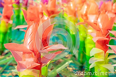Recycled colorful plastic flowers made from plastic bottles to decorate as flowers in the garden. Stock Photo