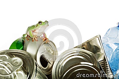 Recycling frog Stock Photo