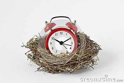 Red alarm clock in a bird nest on white background - Importance of time concept Stock Photo