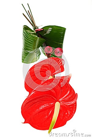 Red Anthurium Stock Photo