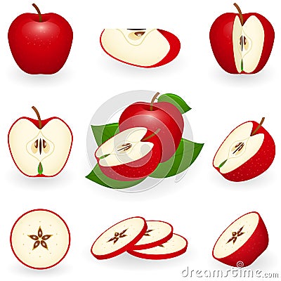 Red apple Vector Illustration