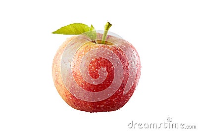 Red Apple Stock Photo