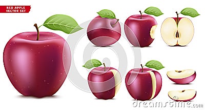 Red Apple Fruit Ripe Realistic 3D Food Vector Set. Whole Half and Sliced Version Vector Illustration