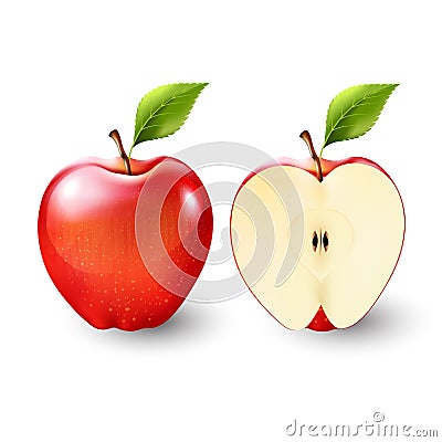 Red apple and a half of apple, fruit, transparent, Vector Vector Illustration