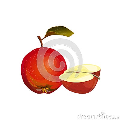 Red apple and half Vector Illustration