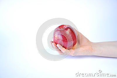 Red apple in hand Stock Photo