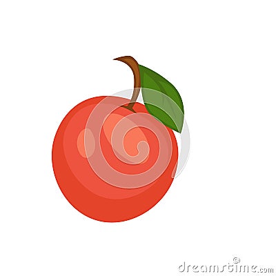 Red apple with leaf Vector Illustration