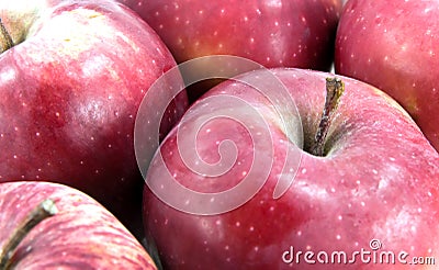 Red apple on market Stock Photo