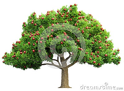 Red apple tree isolated Cartoon Illustration