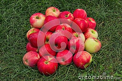Red Apples on the Grass. Apples in the garden. Heap apples on green grass. Stock Photo