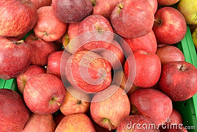 Red apples Stock Photo