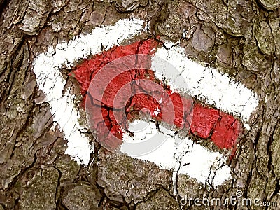 Red arrow touristic mark on tree trunk rugger bark in snowy winter deciduous wood. Detail of arrow touristic path sign. Left Stock Photo