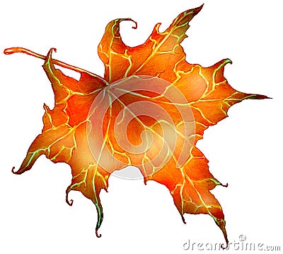 Red autumn leaf Stock Photo