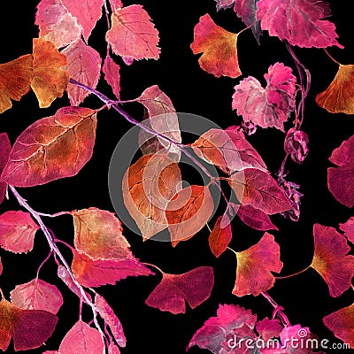 Red autumn leaves, black background. Seamless contrast autumn pattern. Watercolor Stock Photo