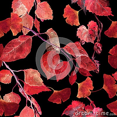 Red autumn leaves, black background. Seamless contrast autumn pattern. Watercolor Stock Photo