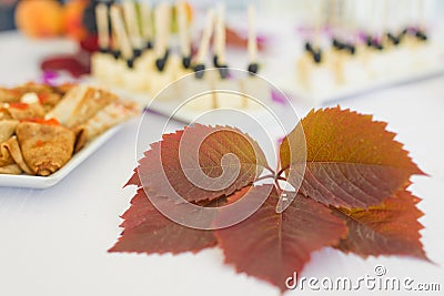 Red autumn maple leaf Stock Photo