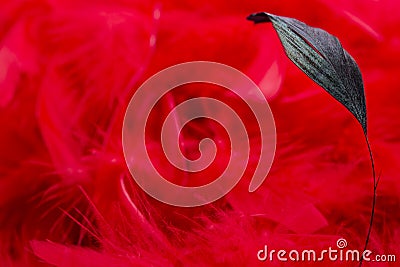 A red background Stock Photo