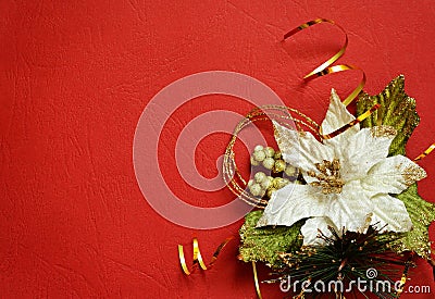Red background with white pionsettia in a corner Stock Photo