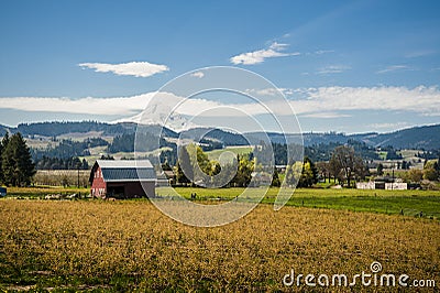 Red barn, apple orchards, Mt. Hood Stock Photo