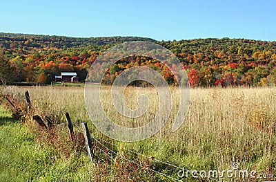 Red Barn, Fall Foliage Stock Photo