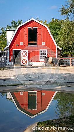 Red Barn Reflected in Rain Puddle Stock Photo