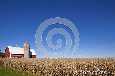 Red Barn, Silo and Corn Field Stock Photo