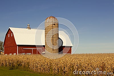 Red Barn, Silo and Corn Field Stock Photo