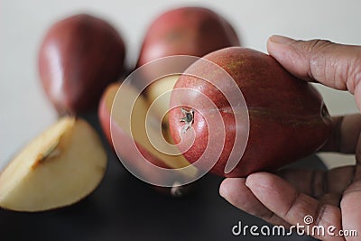 The Red Bartlett pear carries a true pyriform pear shape. A rounded bell on the bottom half of the fruit, then a definitive Stock Photo