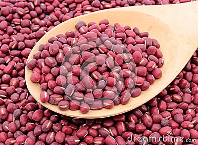 Red Bean Adzuki Stock Photo