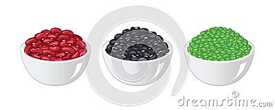 Red beans,Black beans and Green grams or Mung beans in bowl on white background. Vector Illustration