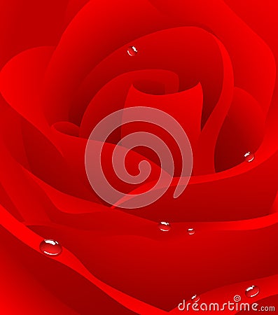 Red beautiful rose background Cartoon Illustration