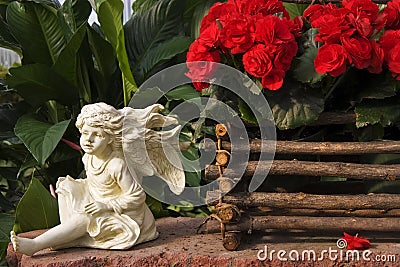 Red Begonias Display Stock Photo