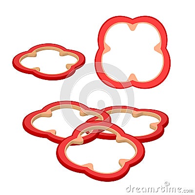 Red bell pepper for burger or sandwich Illustration of food for shops Vector Illustration