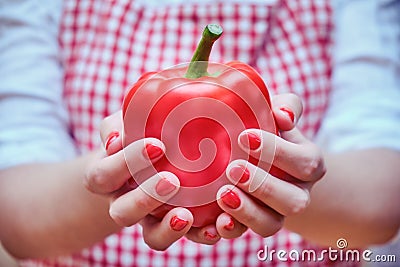 Red bell pepper in female hands, close-up. A woman in a plaid apron holds a ripe vegetable for cooking in the kitchen Stock Photo