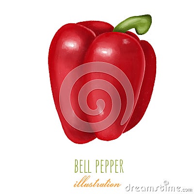 Red bell pepper, hand drawn illustration Cartoon Illustration