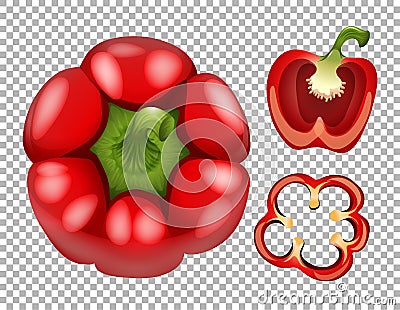 Red bellpepper on transparent background Vector Illustration