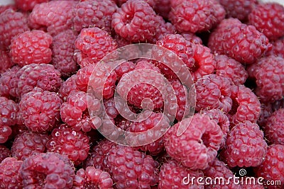 Red berries of raspberry in heap. Pile of ripe berries Stock Photo