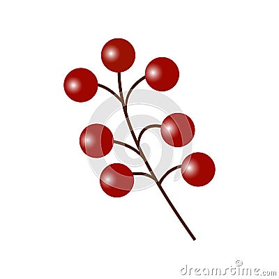Red Berry Branch On White Stock Photo