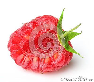Red berry raspberry isolated Stock Photo