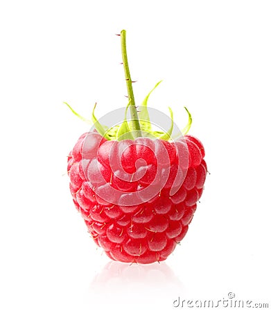 Red berry raspberry isolated Stock Photo