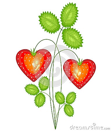 Red berry in the shape of heart. Ripe sweet strawberry. Present in love to the Valentine s Day. Vector illustration Cartoon Illustration