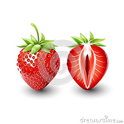 Red berry strawberry and a half of strawberry, fruit, transparent, Vector Vector Illustration