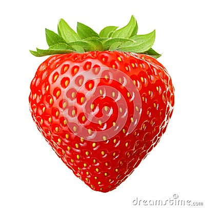 Red berry strawberry Stock Photo