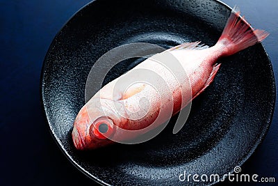 Red bigeye fish, food Stock Photo