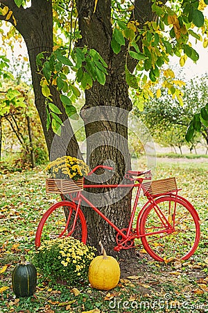 Red bike with flowers. Autumn harvest terrace background. Halloween. Country. Pumpkins and flowers. Vacation home. Thanksgiving Stock Photo