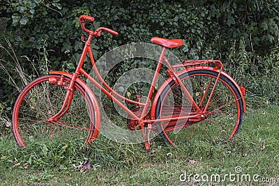 Red Bike in the Foresst Stock Photo