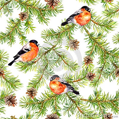 Red birds, branches of pine tree, cones. Seamless pattern. Watercolor Stock Photo