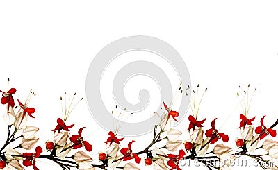 Red and black butterfly flower border Stock Photo