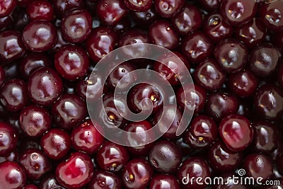 Red and black cherry Stock Photo